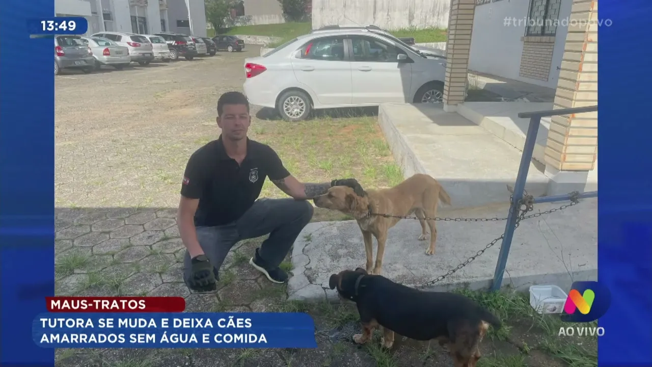 Maus tratos: tutora se muda e deixa cães amarrados sem água e comida