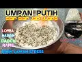 Download Lagu NETER MENGGILA GAK ADA OBAT🔥 RESEP UMPAN PUTIH BIKIN KERAMBAH KAWAN ANTI AIR🔥PASTI NETER BOS GASPOL