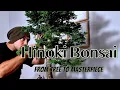 Download Lagu De Hinoki Bonsai-reis: van materiaal tot meesterwerk