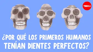 ¿Por qué tenemos dientes torcidos si nuestros antepasados no los tenían así? - G. Richard Scott