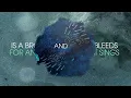 Tide Lines - Written in the Scars (Lyric Video)