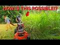 Download Lagu Neighbors Thought It Was IMPOSSIBLE To Restore This Yard...