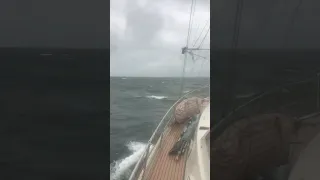 Sailing from Moreton island to Brisbane! #shorts #sailingfamily #travel #sailingadventures