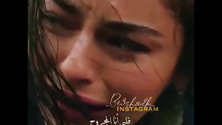 هايدي حال الدني ناس بتجي وبتروح 