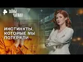 Download Lagu Инстинкты, которые мы потеряли: что осталось у современного человека? — Тайны Чапман (08.09.2025)