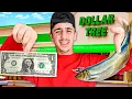 Eating ONLY Dollar Store Food for 24 HOURS