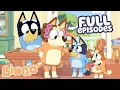 Bingo's Best Full Episodes From Season 3 🧡🎉 | 1 Hour  | Bingo - Official Channel