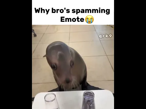 #core