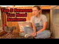 Benefits of Bantams