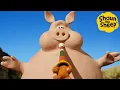 Download Lagu Shaun the Sheep 🐑 Keeping the Peace 🤫 Full Episodes Compilation [1 hour]