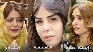 أجمل روايات حارة شوف رواية الضيفة رواية الفراري رواية المختار الحكيم 