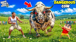 franklin u0026 shinchan rescue most dangerous qurbani cow most shocking life story