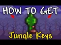 How to Get Jungle Keys in Terraria Jungle Key Farm