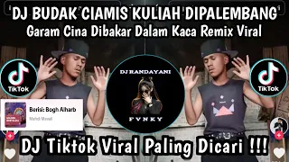 dj budak ciamis x garam cina dibakar dalam kaca dj remix lampung viral tiktok 2025