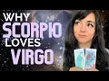 SCORPIO AND VIRGO LOVE COMPATIBILITY SYNASTRY