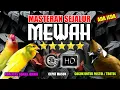 Download Lagu #5 MASTERAN MEWAH ISIAN KENARI, LOVEBIRD, CILILIN - MUDAH DITIRU BURUNG MURAI BATU!