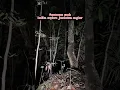Download Lagu explore jembatan angker banyak mahluk astral part|1 #explore #misteri #angker