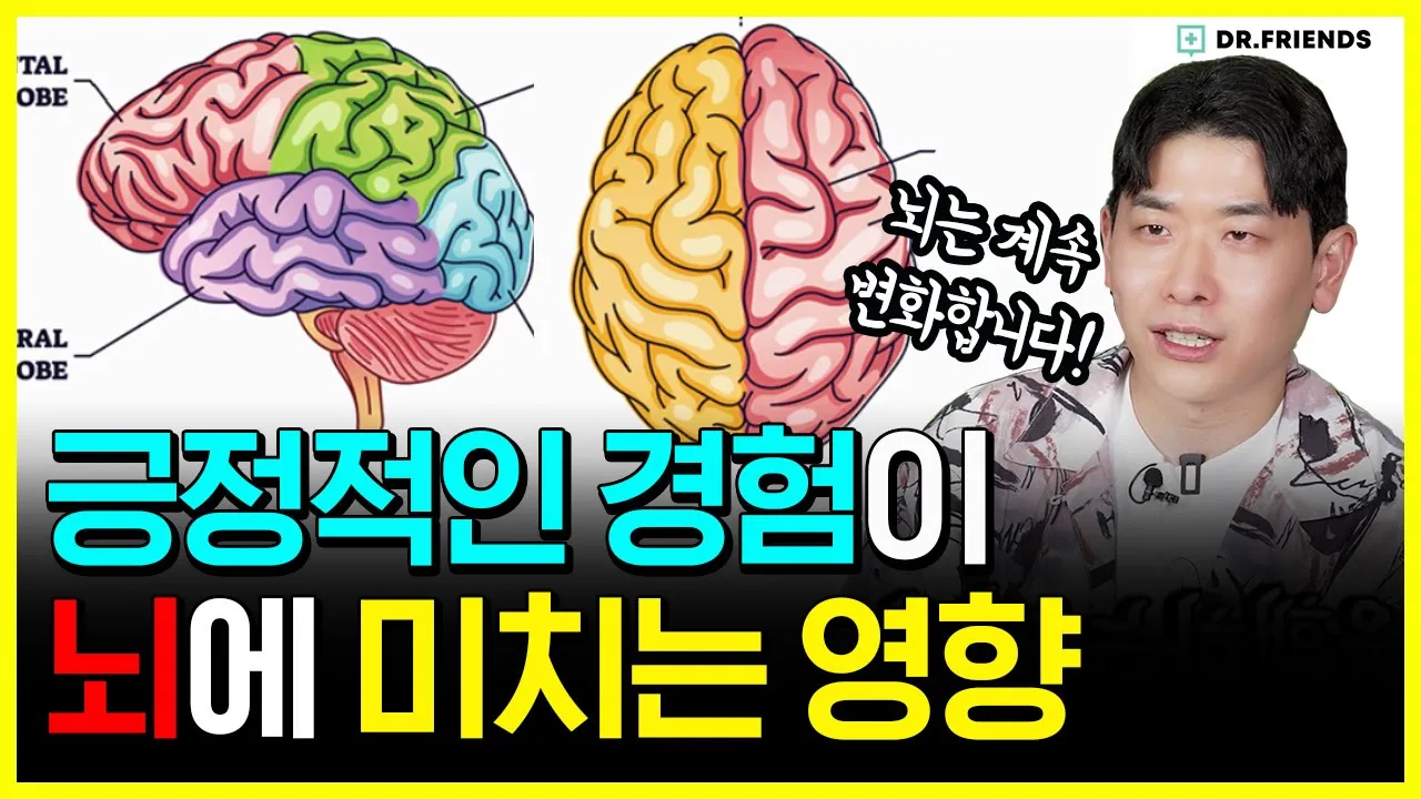 부정적인 경험에서 탈출하는 뇌 리모델링이 가능할까? | 뇌 신경 변화에 대한 희망의 증거들 #뇌가소성