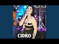 CiDRO 3