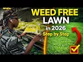 WEED FREE LAWN in 2026 Step by Step