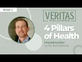 Veritas Wellness Course - Week 1 Introduction to Wellness