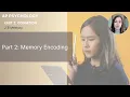 Unit 2B Part 2 Memory Encoding
