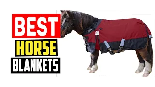 The 5 Best Horse Blankets in 2025