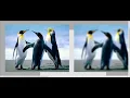 gaussian blur 2 increasing successive box blurs