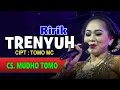 Download Lagu Ririk - Trenyuh (Official Live Music Video)