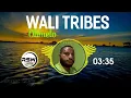 Download Lagu Wali Tribes - Ohmelo