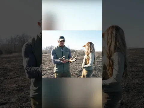 Bowhunting VENOM Trailer!