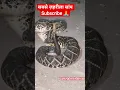Download Lagu sabse zehrila saap| Rattel Snake| Gungru wala saap |Viral|Trending