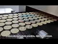 Lagu 400mm Soft Biscuit Production Line