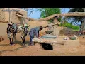 Download Lagu 150 Year Old Traditional Machine | Atta chaki with bulls |Past memories of Pakistan 