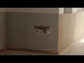 Autonomous Drone with Non-GPS Navigation