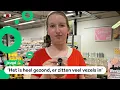 Download Lagu Fenna verkoopt koekjes gemaakt van krekels