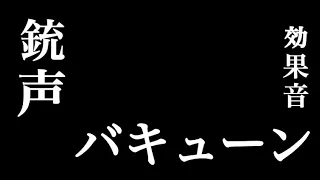効果音 銃声 バキューン Gun Soundeffect 