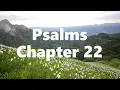 The Book of Psalms Chapter 22 - New King James Version NKJV