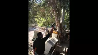 ضرب نار بمسدس فشنك تماما 