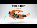 Why Wetsuits Are Designed to Let Water In