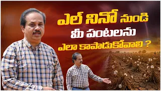 ఎల్ నినో నుండి మీ పంటలను ఎలా కాపాడుకోవాలి.? #manarythumanasalahalu #managromor #elnino #farmer