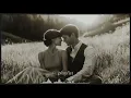Lagu Pure Nostalgia 🕊️ 60s Love Songs That Still Speak to the Heart