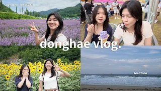 VLOG : BERBURU BUNGA LAVENDER DI KOTA DONGHAE! 🪻🌊 | AMELICANO