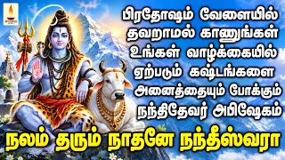 பிரதோஷம் வேளையில் தவறாமல் காணுங்கள் கஷ்டங்களை போக்கும் நந்திதேவர் அபிஷேகம் | Apoorva Audios