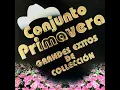 En Cada Dia