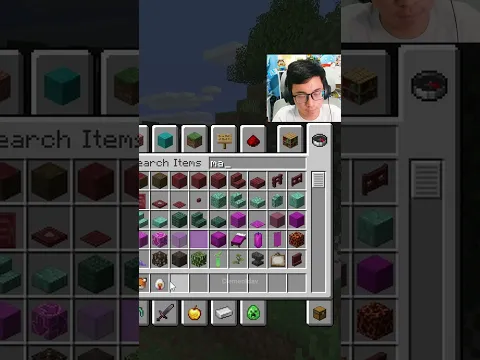 Minecraft DrDonut Moment