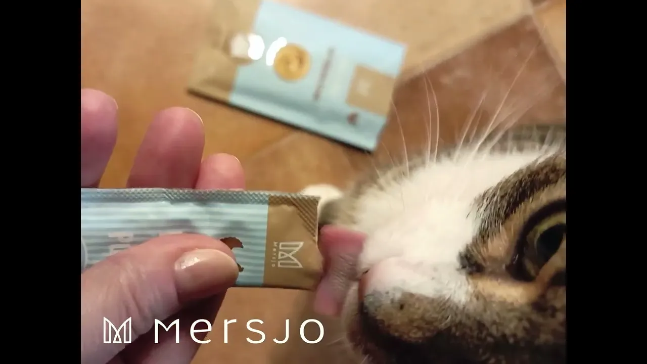Lick & Purr Cat Treats – Salmon Mousse Mersjo 60g