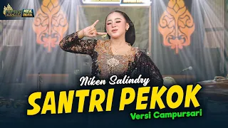 niken salindry santri pekok kembar campursari official music video 