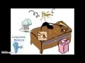 Chapter 6 - Encoding Storage Part 3