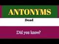 Antonyms words Dead